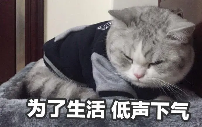 一个月带你入门软件测试，挑战初级测试工程师