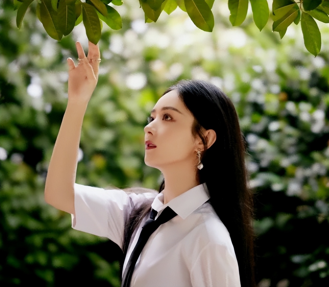 同样是演学生，把张柏芝、赵丽颖和吴倩放在一起，美得各有千秋