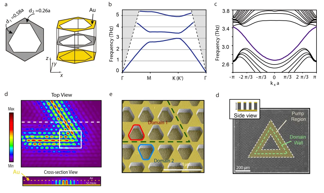 90后海外优青、Nature封面文章作者：科研是一场人生的修行