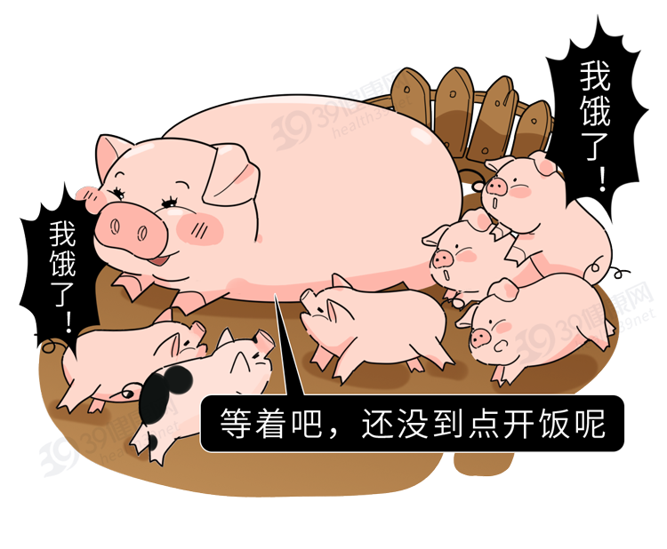 “猪奶”是什么味道？为什么没人喝？其实，它的营养比牛奶还要高