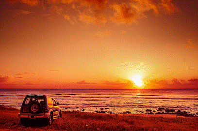 油价反复波动 蔚来、特斯拉等电车新势力助推悟空租车成当红炸子鸡