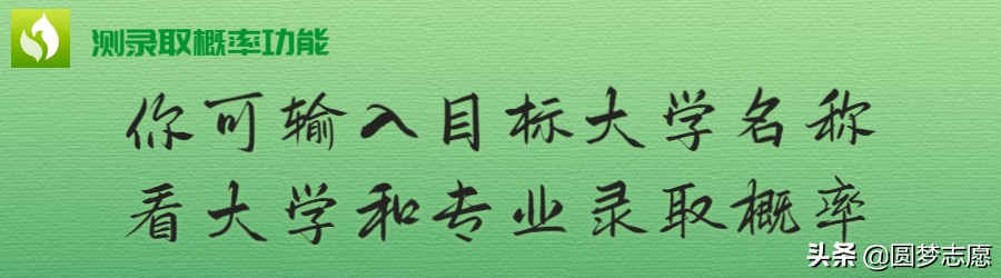 高考测录取（输入大学名字）