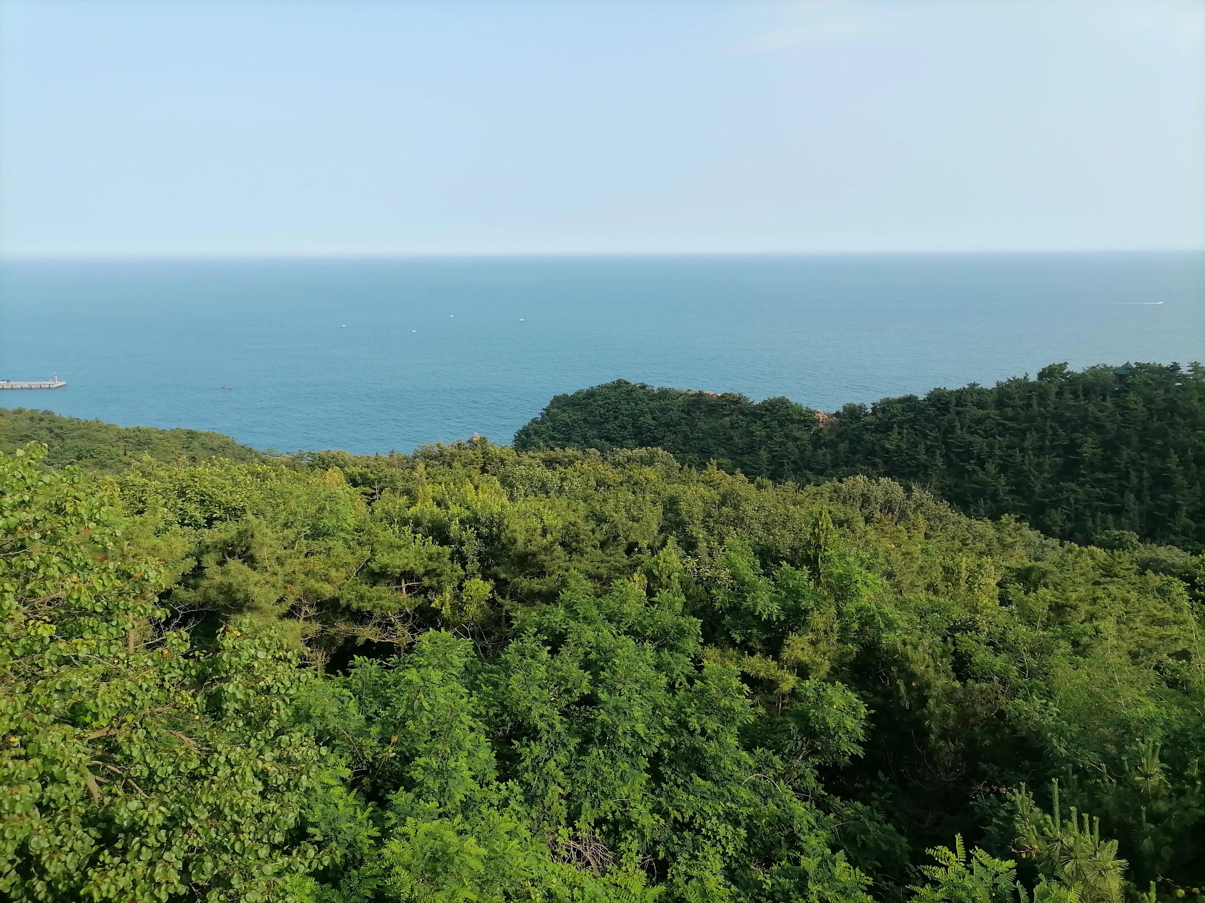 我在头条平台正式开始创作两年了