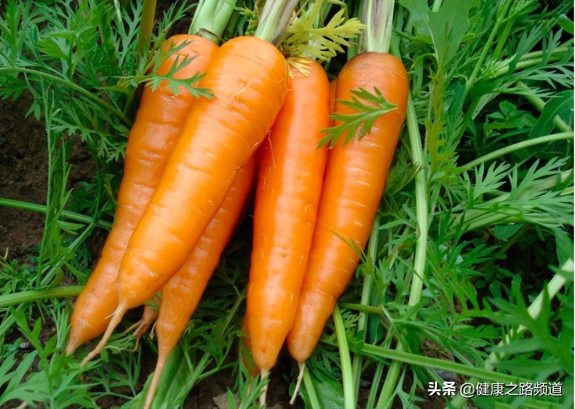 心肝脾肺腎，最愛的“食物”全在這！ 適合貼到廚房裡