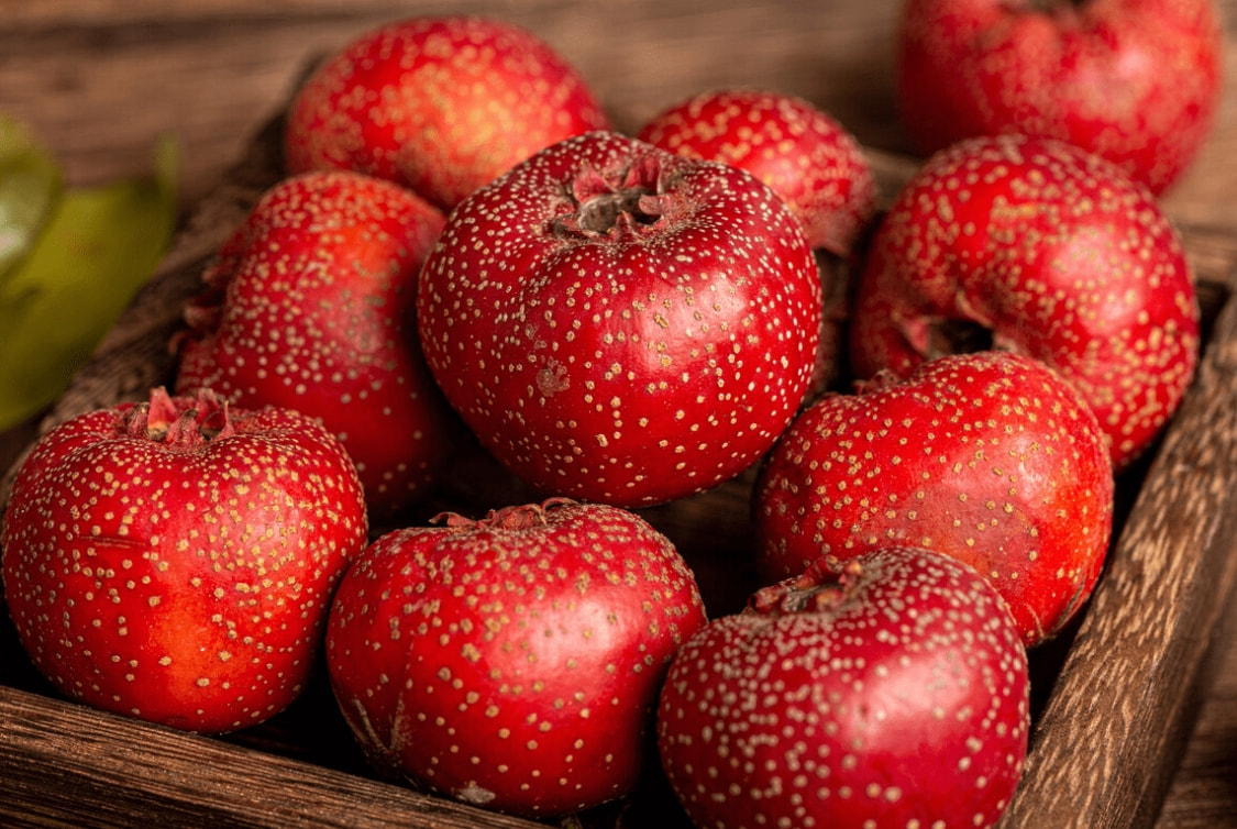 冬至来临，不管有钱没钱，这9种金牌水果要多吃，解渴润燥营养高