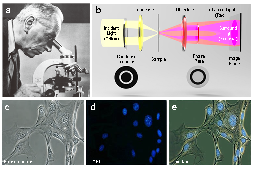 南京理工团队提出无需干涉及染色的三维层析显微成像技术