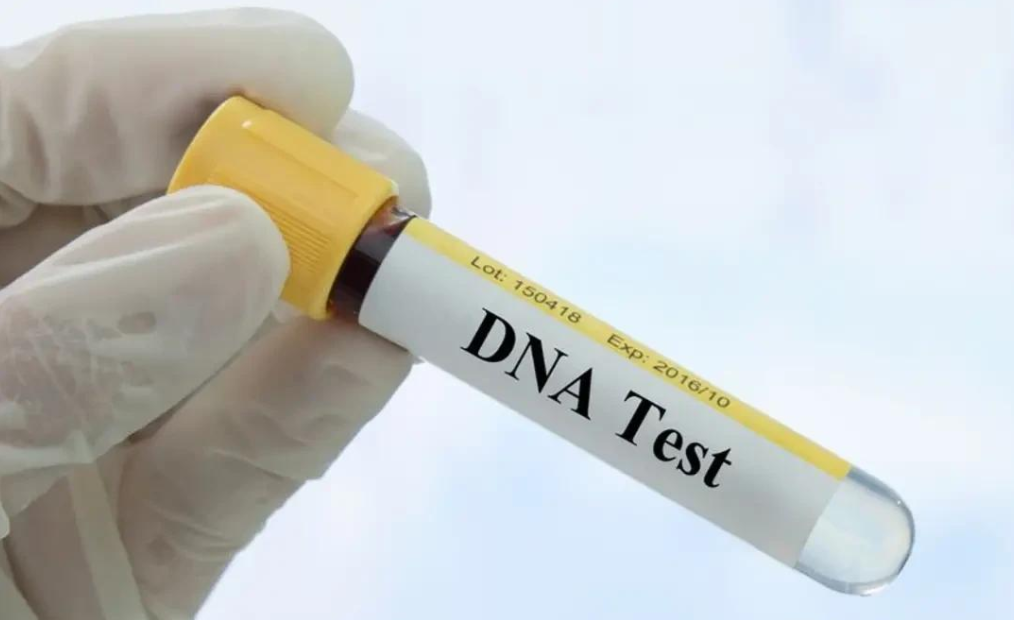 2003年，马来西亚跆拳道黑带少妇，晚宴后失踪，被找到时已成焦炭