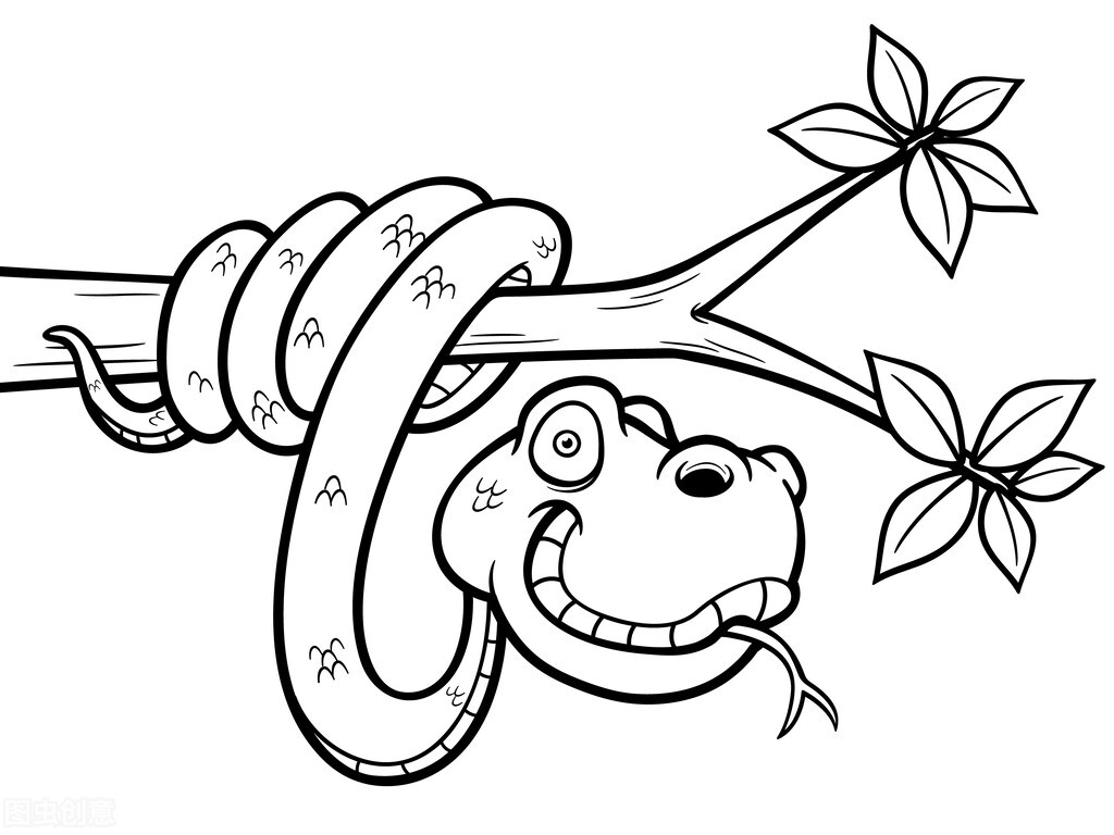 蛇怎么繁殖后代的(有毒蛇和无毒蛇进行交配)