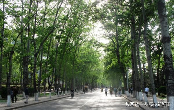 西北地区的3所财经类高校，排名及实力接近，录取分数却差异很大