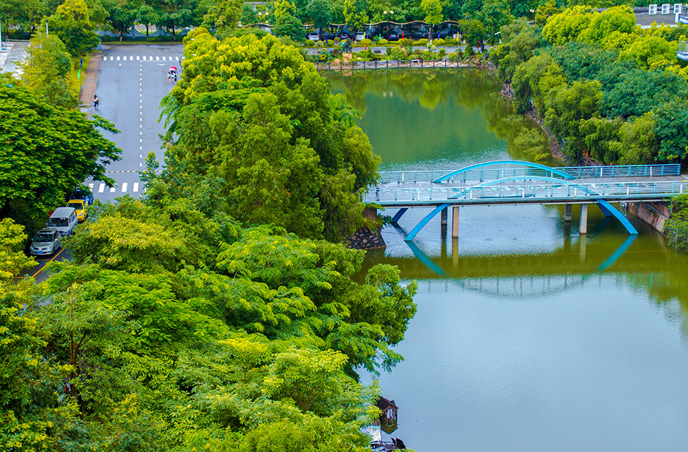 高质量3+证书高职高考院校鉴赏——中山职业技术学院