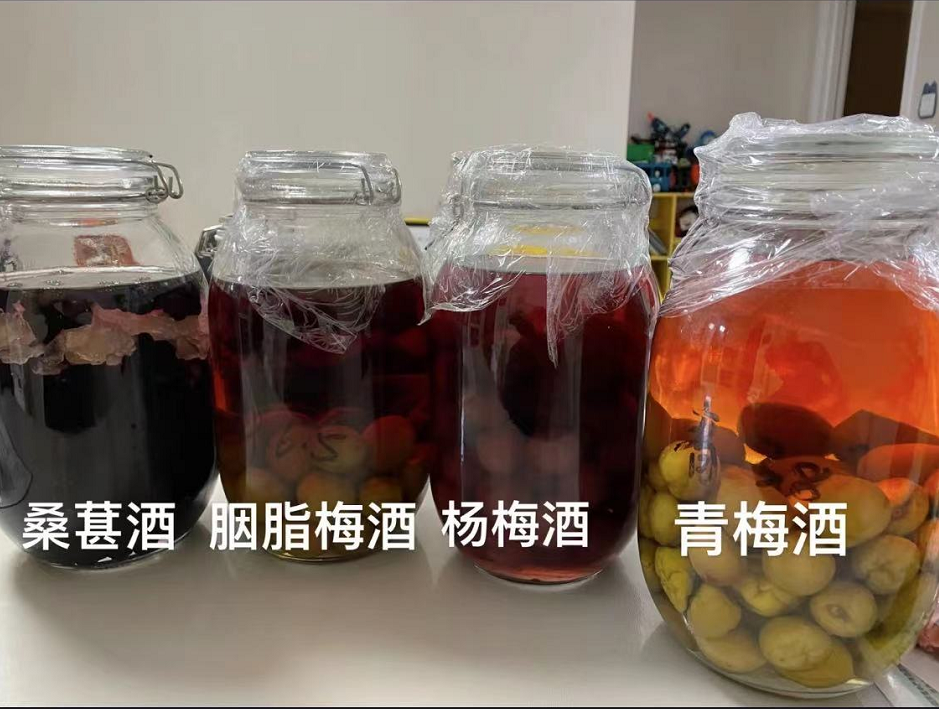 桑子泡酒怎样泡（爽口香甜的桑葚酒都这样泡）