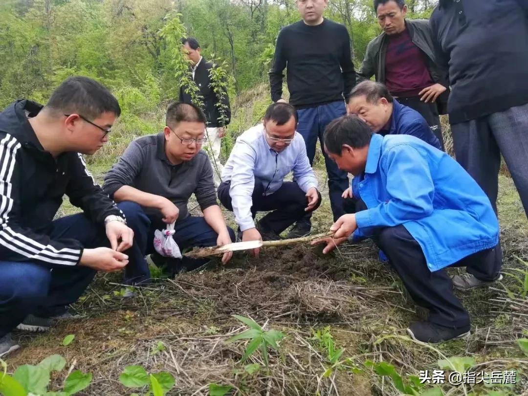 岳麓卓越企业家 || 王毅清：从事医药行业30余年，致力做专业药房的深耕者