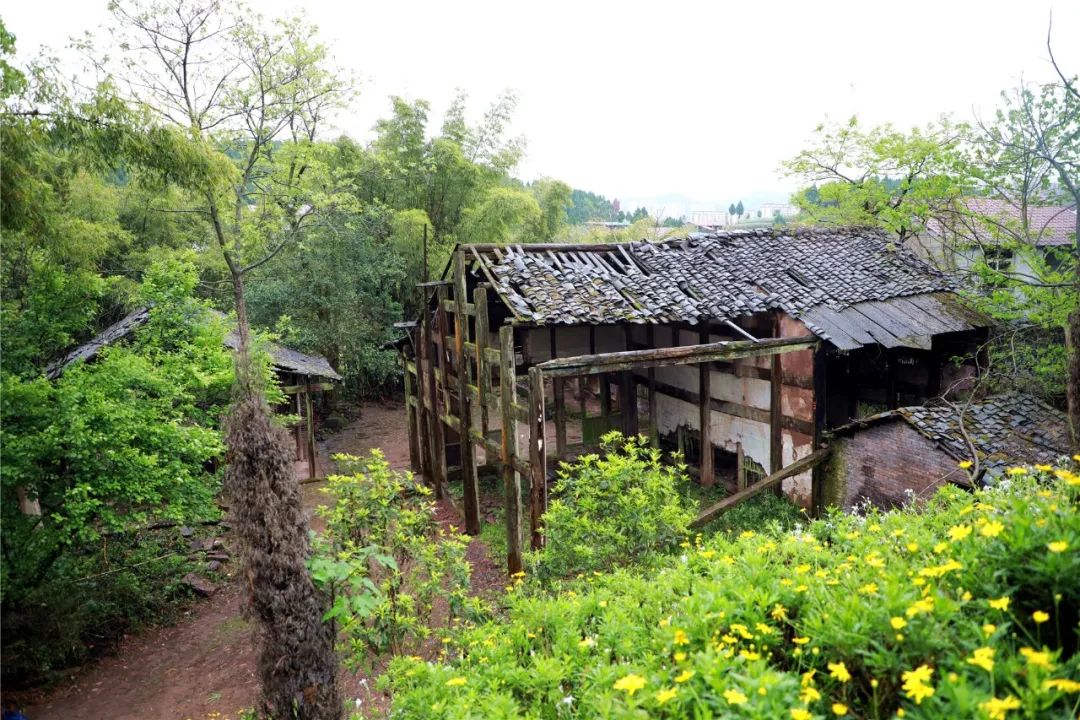 四川省西充中学与重庆市巴蜀中学校强强联手，打造西充教育新高地