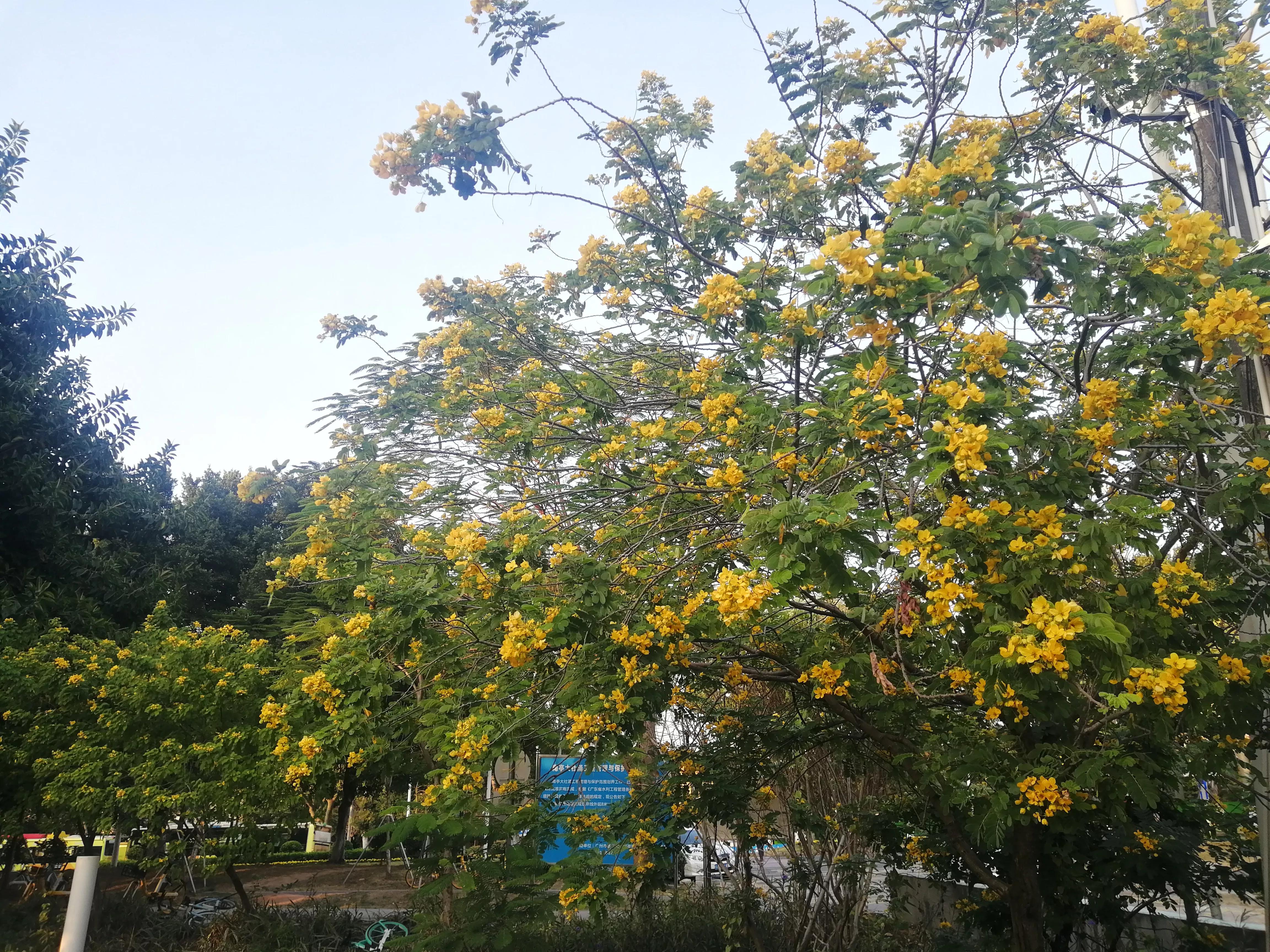 地铁4号线广州大学城一日游，带你体验不一样的大学城风景（A篇）