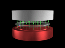 新发现：从电子自旋角度来看，洛伦兹力并不存在