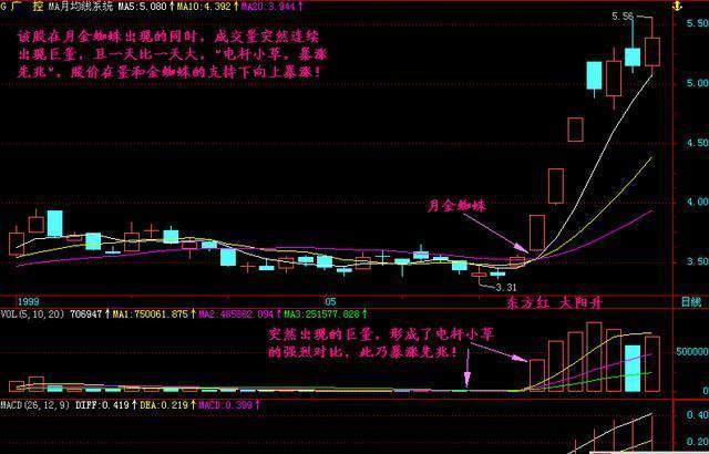 一位民间股神的退市感言：写给所有迷失的散户