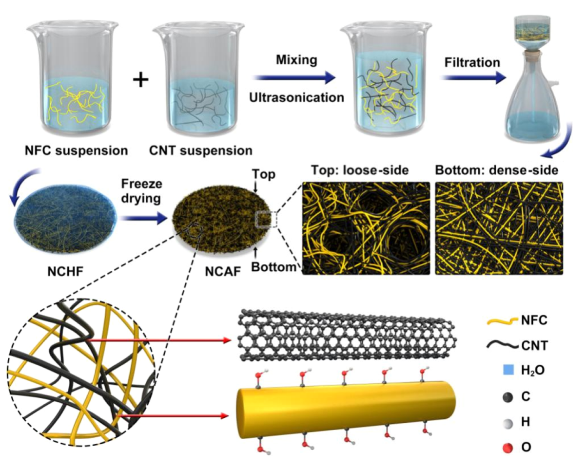 一种锂硫电池用纳米结构柔性非对称杂化正极的构建方法
