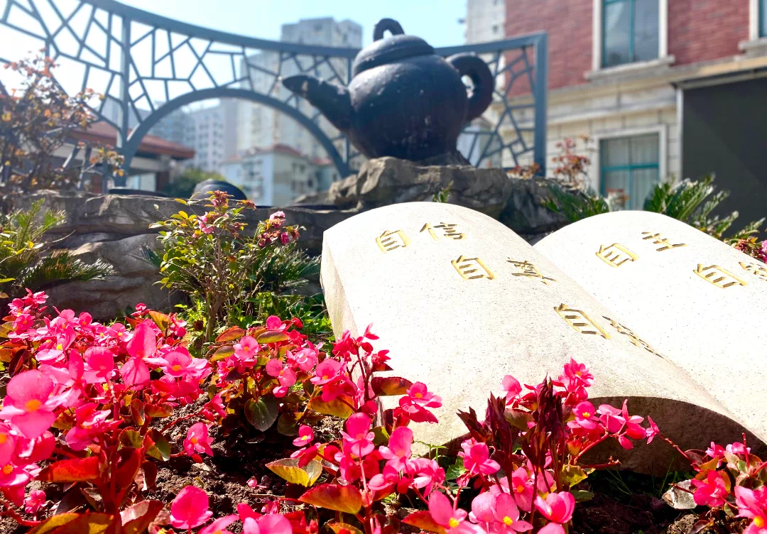 今年大爆发！2022上海11区29所新小学首招