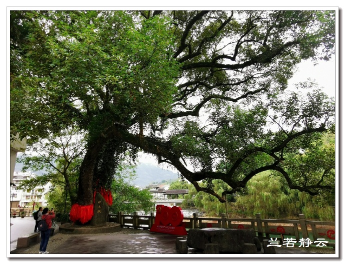 福建寿宁：廊桥水乡，状元故里-西浦村