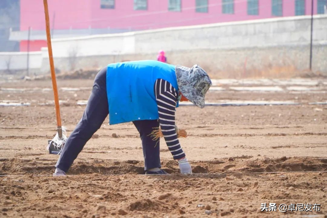 卓尼：不负春光，遇见最美“春耕”