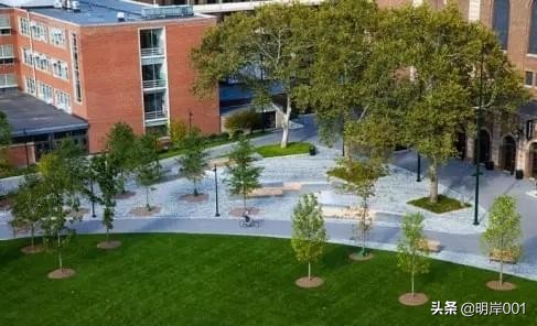 明岸：校园景观设计，打造美好的校园生活