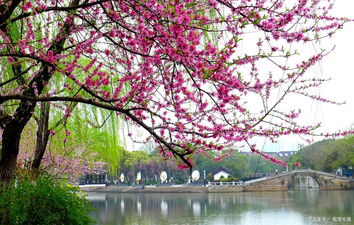 当唐诗宋词遇上春日美景，一起感受春天里的诗意美景