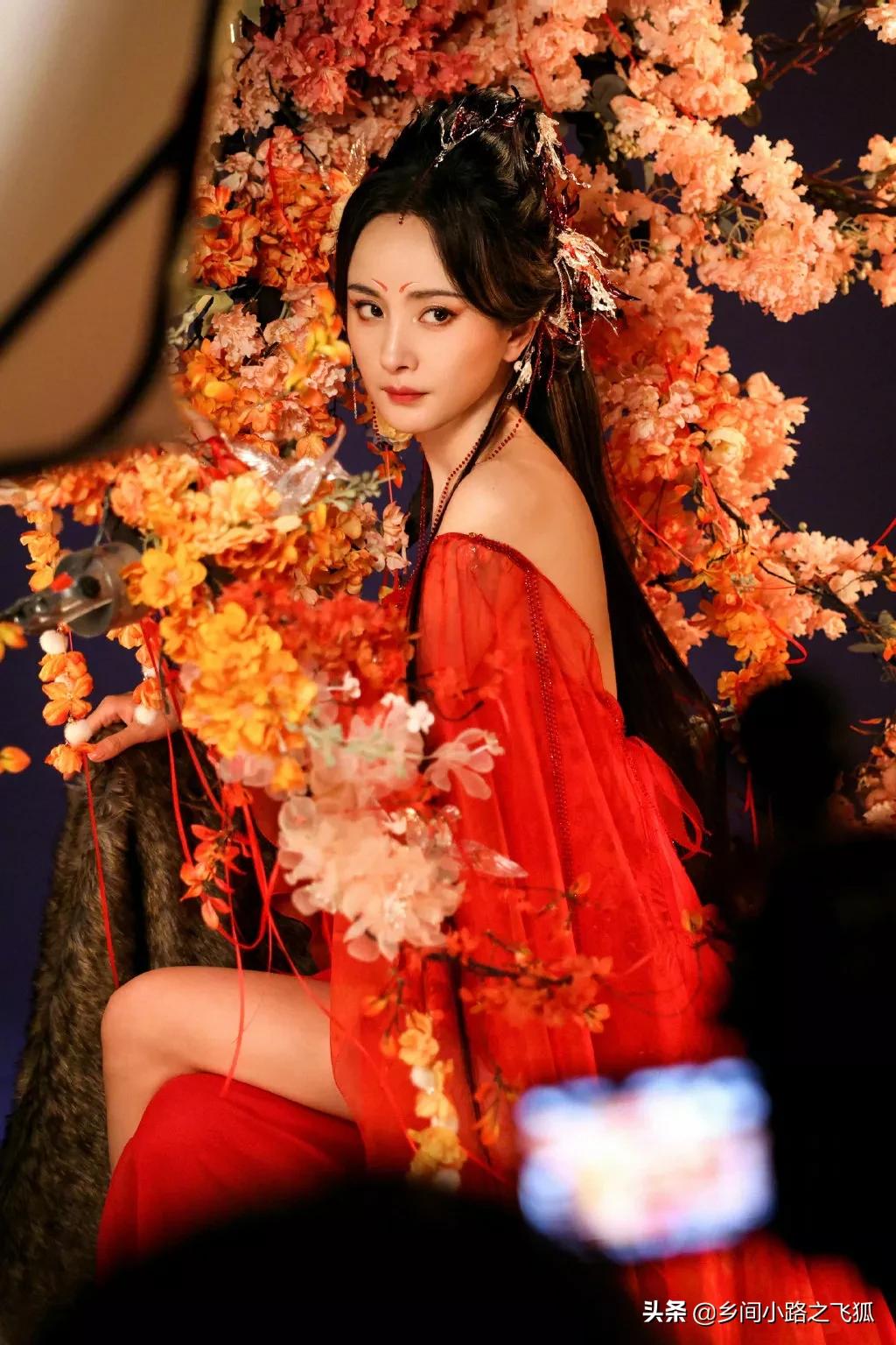 今日《狐妖小红娘月红篇》正式官宣，杨幂饰演山红红花絮照来了