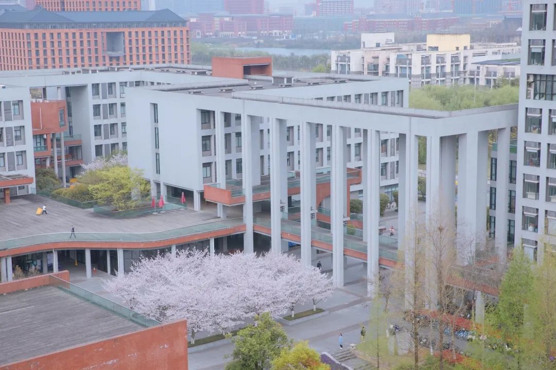 浙大樱雨，许你浪漫春光！每一张都可以做壁纸