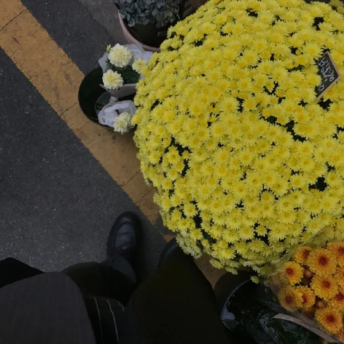高级又令人心动的文案 ‖ 总有一天要远方举杯，敬这一腔孤勇