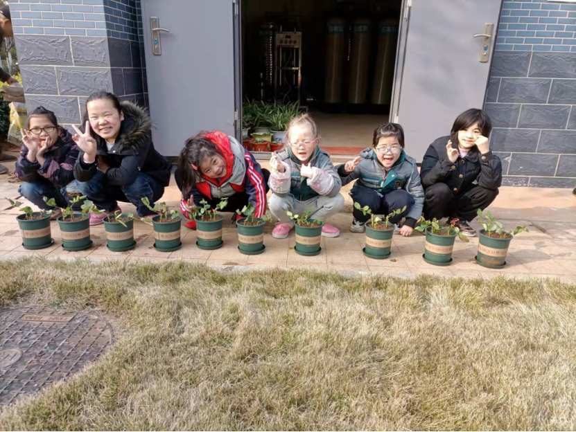 湘潭市社会福利院开展“快乐盆栽，放飞希望”盆栽种植活动