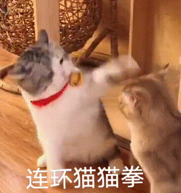 抖音热门表情包原图