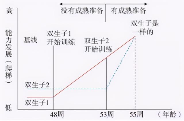 孩子多大识字比较好？家长抓住“认字”黄金期，宝宝才能快人一步