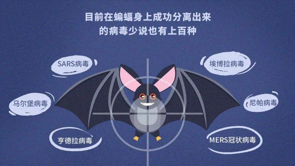 蝙蝠携带病毒上千种，包括冠状病毒，人类为何不消灭蝙蝠？