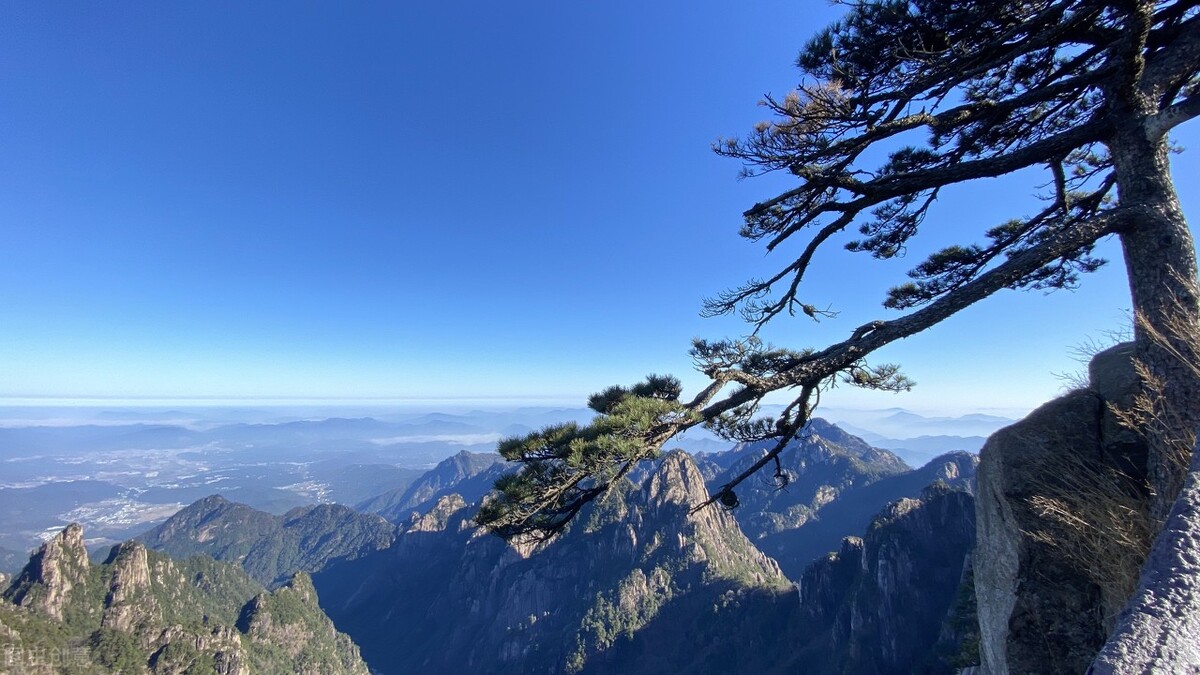 为什么说“黄山归来不看岳”？黄山“四绝”是什么？