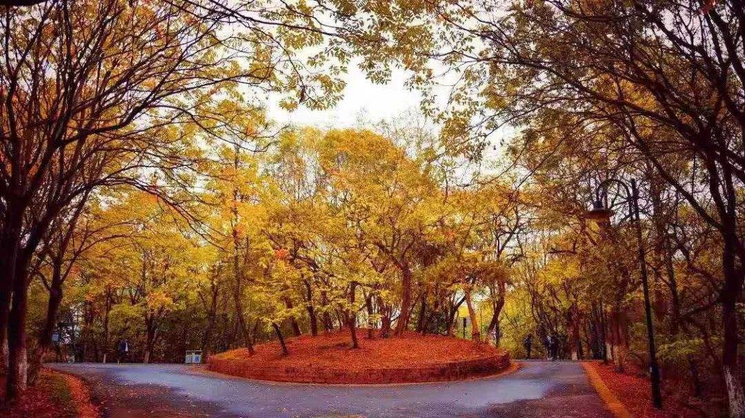 南京工业大学：成也化工败也化工，还有不被劝退的本科专业吗？