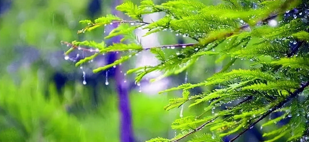 「诗词鉴赏」初夏的雨落在古诗词里，哪首淋湿了你的心？