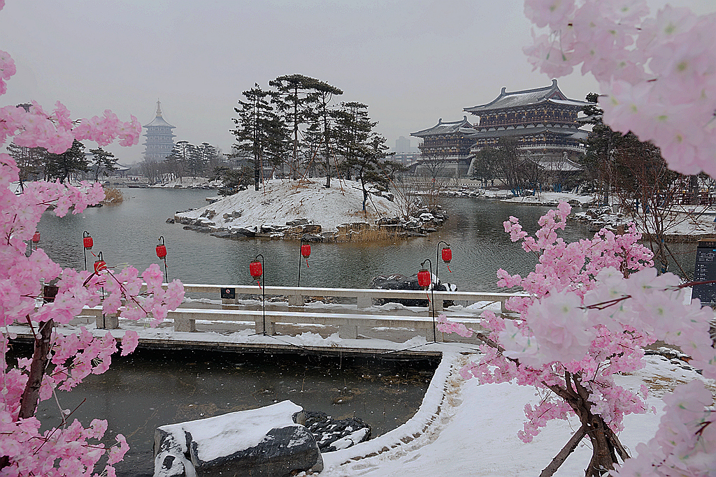 雪游九洲池