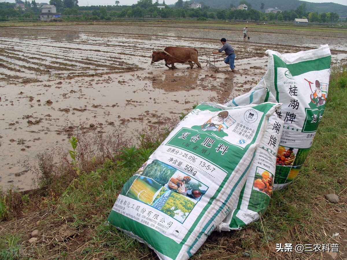 尿素2连涨！复合肥、磷肥、钾肥也迎新变化，看看一吨多少钱了