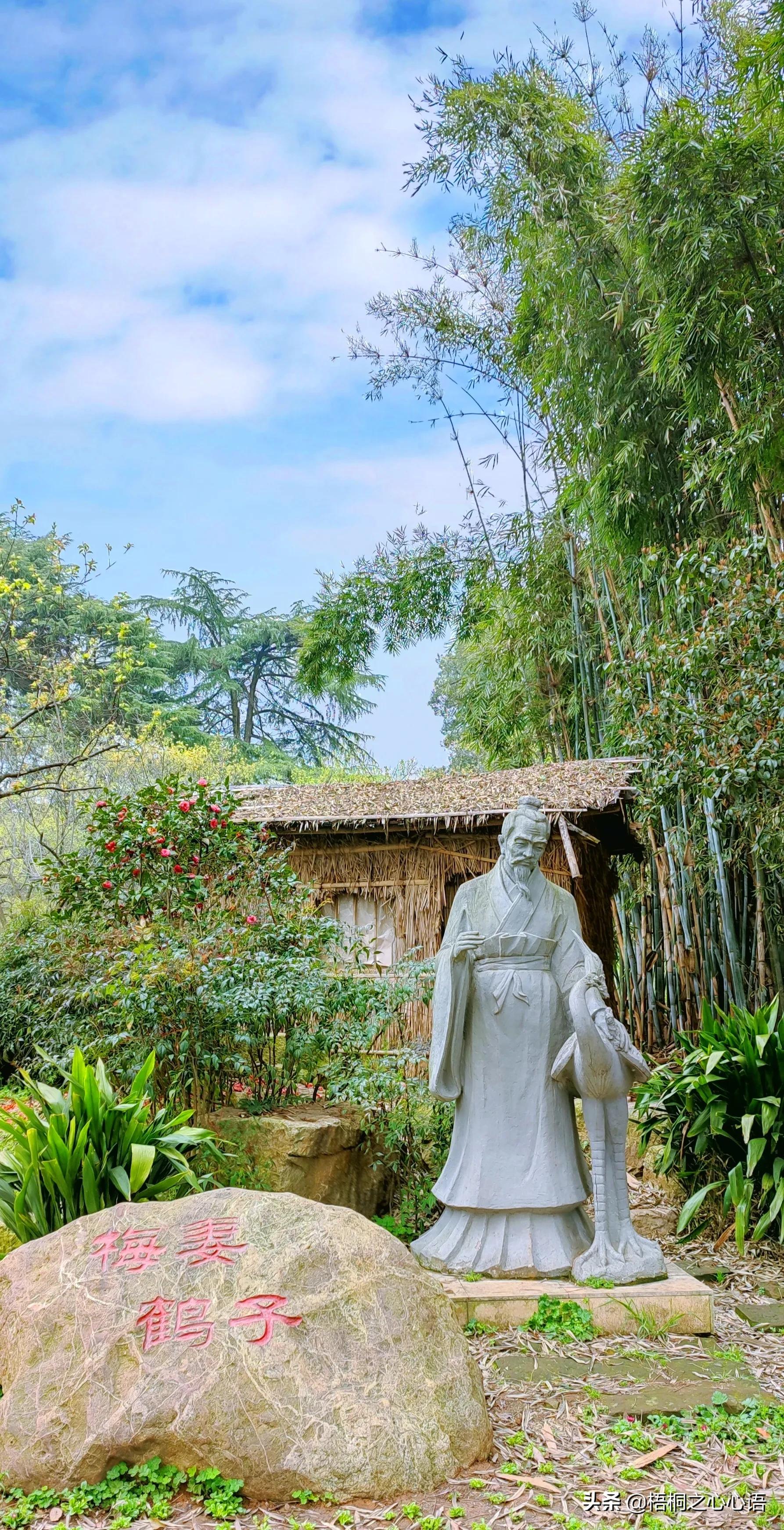 去年樱开时，那些漫妙记忆，此生许没再见时，存此让友情天长地久