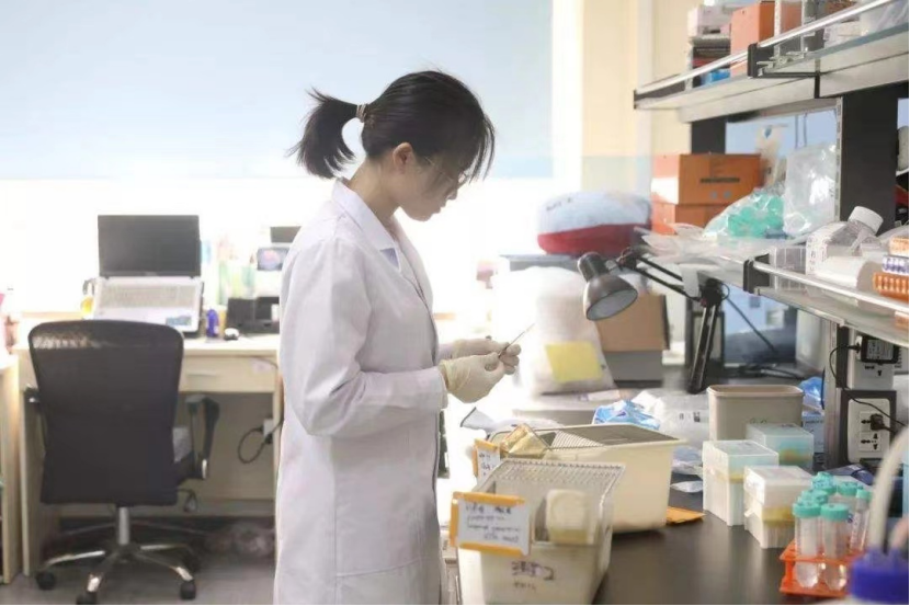 医学院“新四大天王”出炉，协和湘雅齐鲁华西，四足鼎立格局打破