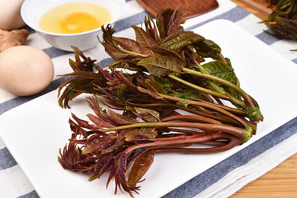 春天宁可不吃肉,也要吃这5种"芽菜",含钙量高,孩子长个快