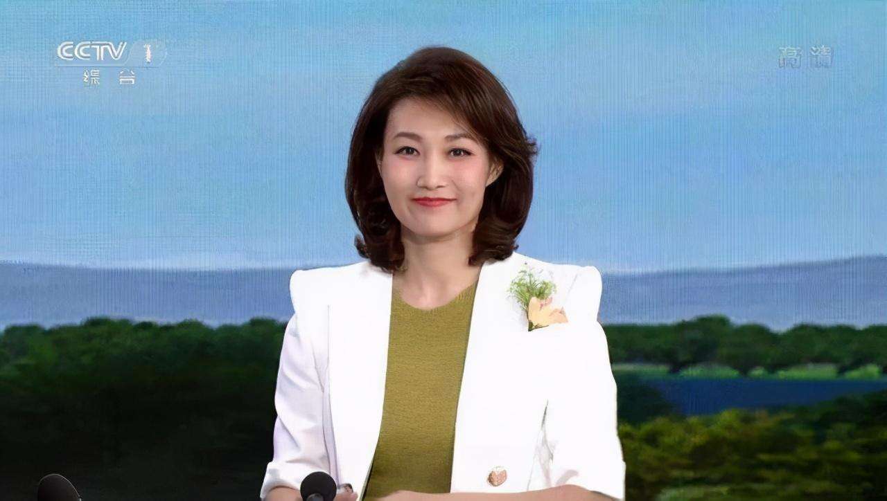 龙洋简历个人资料简介央视大龄未婚女主持人