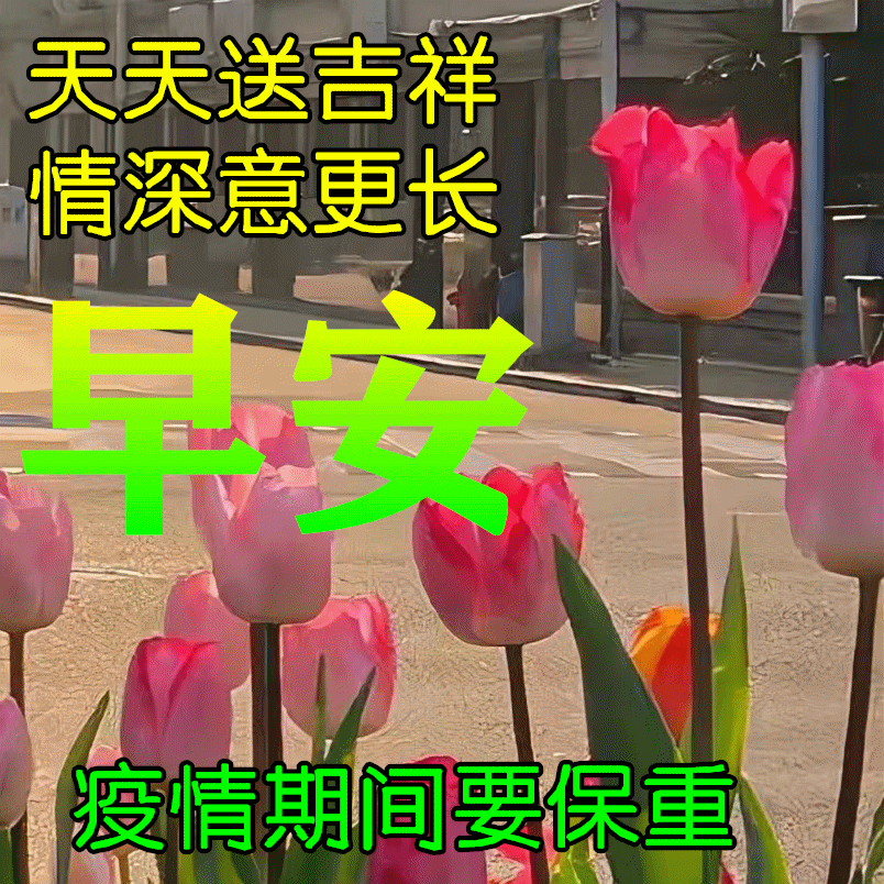 祝身体健康的八字短句（关心朋友早安祝福美句）