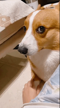 每日一笑：一对情侣在路边亲热接吻，这是可以看的吗？