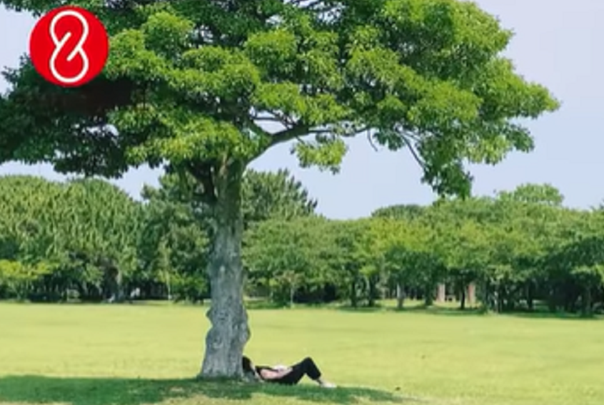 48岁蒙嘉慧移居日本，躺草上睡觉似遛弯大妈，身宽体胖无人认出
