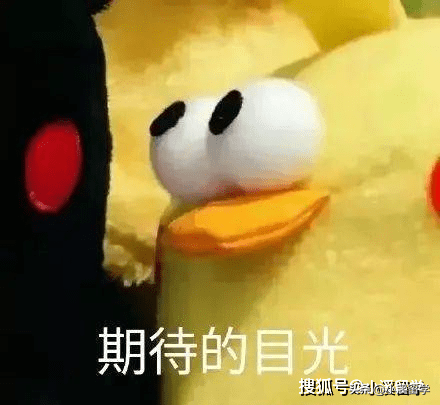 今天分享一些不一样的，美国哪些大学最为浪漫