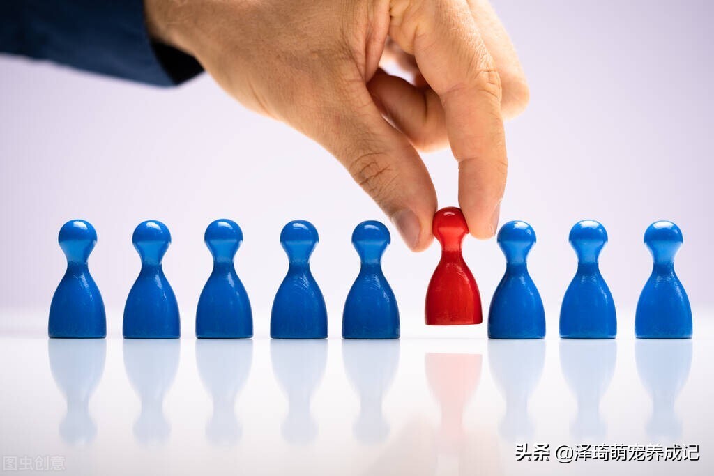 内部培训讲师管理及评估制度