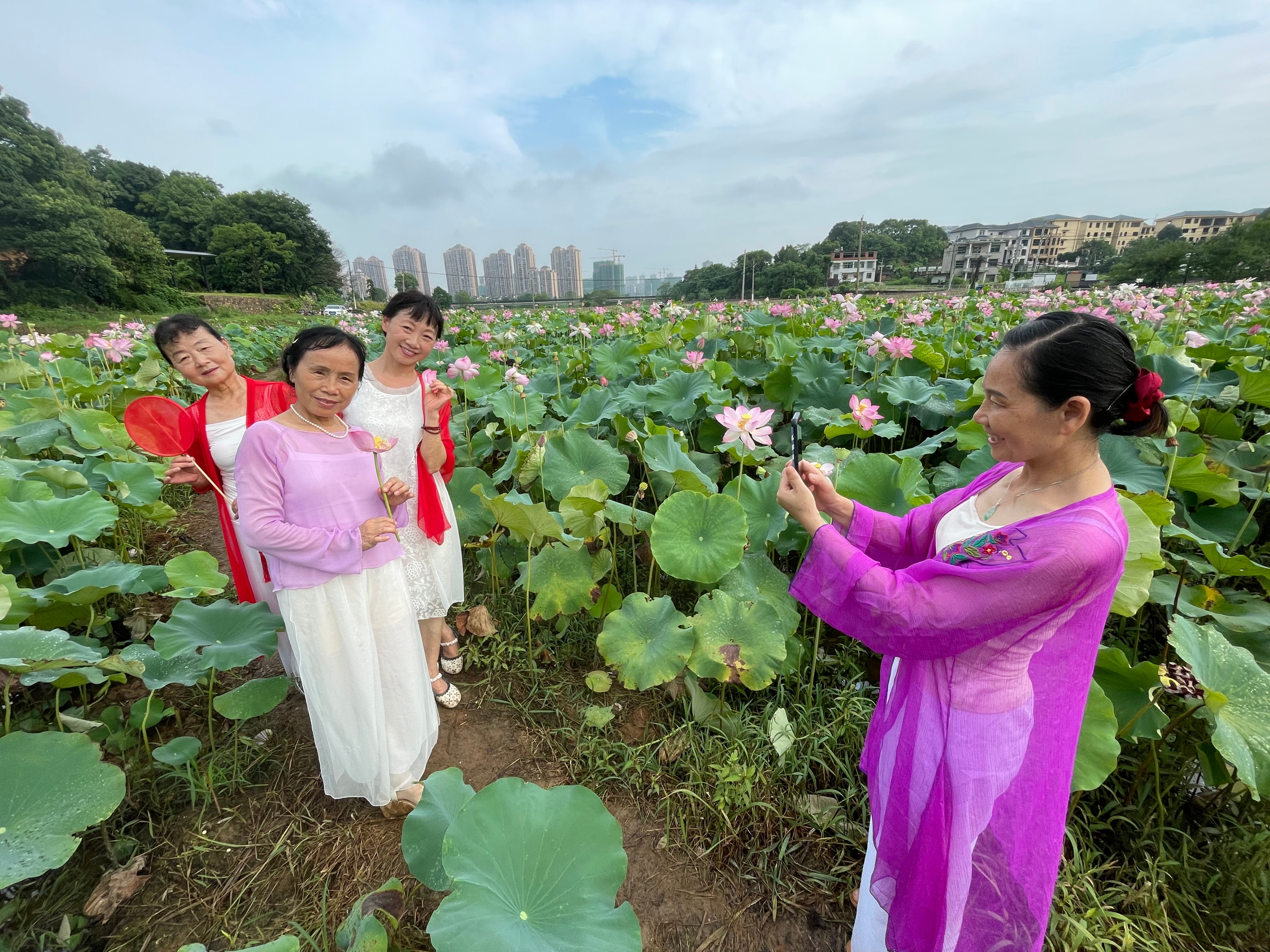 江西上饶：荷花绽放醉游客