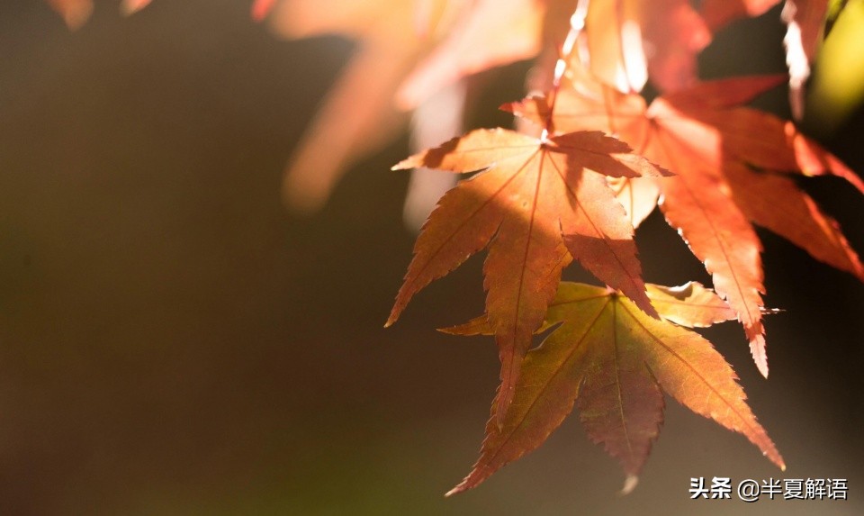 50岁女人崩溃：刚退休，婆家人就亲情绑架我去医院伺候自私的婆婆
