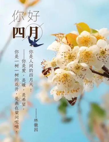 四月祝福语唯美精短句子文案，杏花微雨，春末芳菲